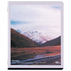 Тетради предметные, КОМПЛЕКТ 12 ПРЕДМЕТОВ, 48л, матовая ламинация, BRAUBERG, ПРИРОДА, 405606