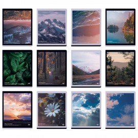 Тетради предметные, КОМПЛЕКТ 12 ПРЕДМЕТОВ, 48л, матовая ламинация, BRAUBERG, ПРИРОДА, 405606