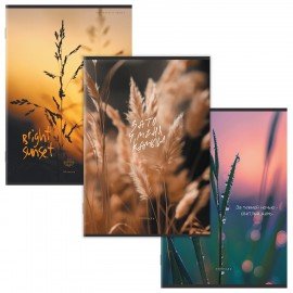 Тетрадь А4 80 л. STAFF College скоба, клетка, офсет №2 ЭКОНОМ, обложка картон, ПРИРОДА, 405617