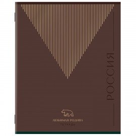 Тетрадь А5, 48 л., STAFF, скоба, линия, офсет №2 ЭКОНОМ, обложка картон, ТЕМНАЯ, 405629