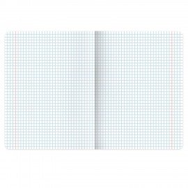 Тетрадь А5, 48 л., BRAUBERG, скоба, клетка, глянцевый лак, "Мечеть" (микс в спайке), 405648