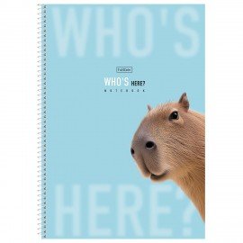 Тетрадь А4 96л. HATBER спираль, линия, матовая ламинация, Кто здесь? (микс в спайке),, 96Т4лВ2сп