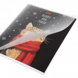 Тетрадь обложка пластик, А5 48л. скоба, линия, HATBER, Котэ (микс в спайке), 091627, 48Т5В2пл