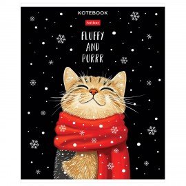 Тетрадь обложка пластик, А5 48л. скоба, линия, HATBER, Котэ (микс в спайке), 091627, 48Т5В2пл