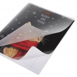 Тетрадь обложка пластик, А5 48л. скоба, линия, HATBER, Котэ (микс в спайке), 091627, 48Т5В2пл