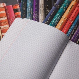 Тетрадь А5 48л. HATBER скоба, клетка, Soft-touch ламинац, 3D фольга, Золотые страницы, 48Т5лофВ1