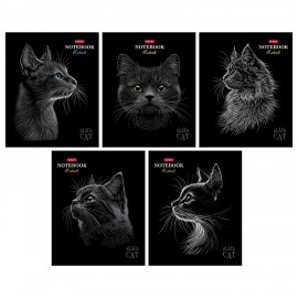 Тетрадь А5 48л. HATBER скоба, клетка, матовая ламинация, 3D лак, Black Cat (микс в сп, 48Т5лолВ1
