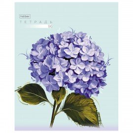 Тетрадь А5 96л. HATBER скоба, клетка, тиснение, Красочные лепестки (микс в спайке), 0, 96Т5тВ1