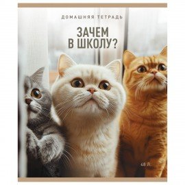 Тетрадь А5 48л. ПЗБМ скоба, клетка, матовая ламинация, конгрев, выб. лак, В смысле? (, 20378