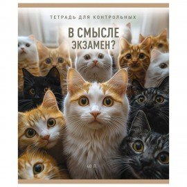Тетрадь А5 48л. ПЗБМ скоба, клетка, матовая ламинация, конгрев, выб. лак, В смысле? (, 20378