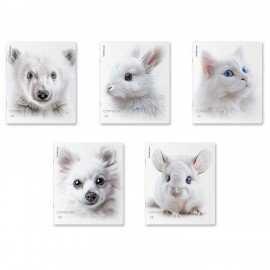 Тетрадь А5 48л. ErichKrause, скоба, клетка, Soft-touch+УФ-лак, Whiteout микс в спайке, 63313