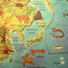 Глобус зоогеографический GLOBEN "Классик Евро", 25 см, с подсветкой, детский, Ке012500270