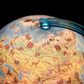 Глобус зоогеографический GLOBEN "Классик Евро", 25 см, с подсветкой, детский, Ке012500270