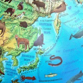 Глобус зоогеографический GLOBEN "Классик Евро", 25 см, с подсветкой, детский, Ке012500270