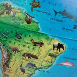 Глобус зоогеографический GLOBEN "Классик Евро", 25 см, с подсветкой, детский, Ке012500270