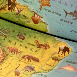 Глобус зоогеографический GLOBEN "Классик Евро", 25 см, с подсветкой, детский, Ке012500270