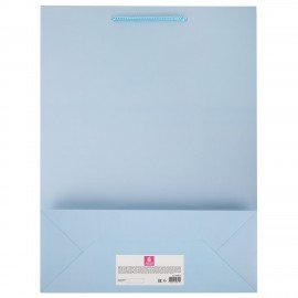 Пакет подарочный (1шт) новогодний, 33x13x45см, "Сказочный Новый Год", голография, ЗОЛОТАЯ СКАЗКА, 592428