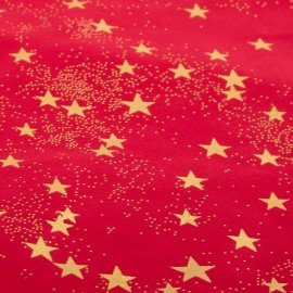 Подарочный мешок (1 штука) новогодний, 55х60см, "Зимнее небо", вельвет, фольга, ЗОЛОТАЯ СКАЗКА, 592537