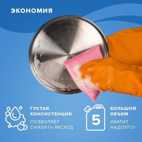 Средство для мытья посуды 5 л, ЛАЙМА PROFESSIONAL, антибактериальное, концентрат, 600197
