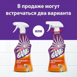 Чистящее средство 750 мл, CILLIT BANG "Антиналет + Блеск", универсальное, распылитель