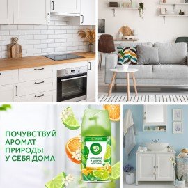 Сменный баллон 250 мл, AIRWICK "Анти-табак. Апельсин/бергамот", для автоматических освежителей, универсальный, 224392