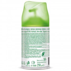 Сменный баллон 250 мл, AIRWICK "Анти-табак. Апельсин/бергамот", для автоматических освежителей, универсальный, 224392