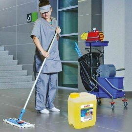 Средство для мытья пола 5 кг, LAIMA PROFESSIONAL концентрат, 