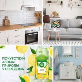 Сменный баллон 250 мл, AIRWICK "Лимон и женьшень", для автоматических освежителей, универсальный