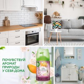 Сменный баллон 250 мл, AIRWICK LifeScents "Райский десерт", для автоматических освежителей, универсальный