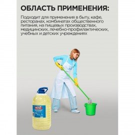 Средство моющее универсальное 5 л, ПРОГРЕСС ПЭТ