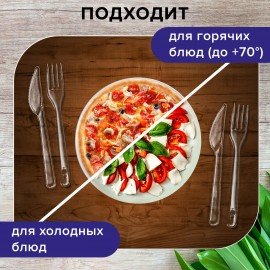 Нож одноразовый пластиковый 180 мм, прозрачный, КОМПЛЕКТ 50 шт., ЭТАЛОН, WELDAY, 607843