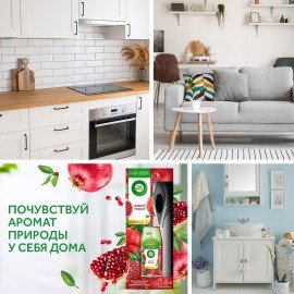Освежитель воздуха автоматический со сменным баллоном 250 мл, AIRWICK,"Дикий гранат", 3145222