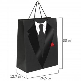 Пакет подарочный (1 штука) 26x13x32 см, ЗОЛОТАЯ СКАЗКА "Especially For Men", выборочный лак, 608244