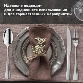 Набор столовых приборов PREMIUM 24 шт., 6 персон, серебристый, нержавеющая сталь, DASWERK, 609073