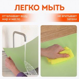 Коврики универсальные 6 шт., 30х45 см, для холодильника, полок, сервировки, салатовый, DASWERK, 609605