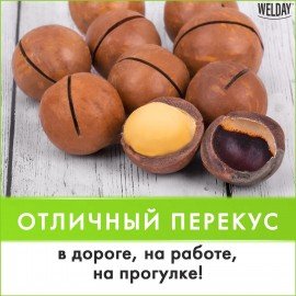 Макадамия в скорлупе с ключом WELDAY (ВЭЛДЭЙ) 1 кг, 622475