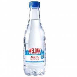 Вода питьевая природная артезианская WELDAY AQUA "СЕДЬМОЙ ИСТОК", ВЭЛДЭЙ, негазированная, 0,5л, 624715, НФ-00000197