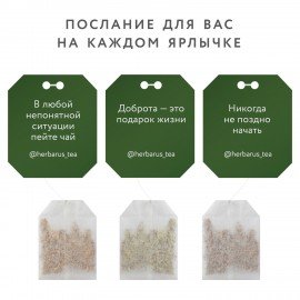 Чай HERBARUS "Grand Secret" ассорти 12 вкусов, НАБОР 60 пакетиков