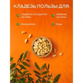 Кедровые орехи отборные NARMAK 500 г, 00-00000011