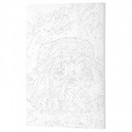 Картина по номерам 40х50 см, ОСТРОВ СОКРОВИЩ "Мечтай!", на подрамнике, акрил, кисти, 662904