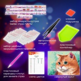 Картина стразами (алмазная мозаика), 30х40 см, ОСТРОВ СОКРОВИЩ "Кот", без подрамника, 663859