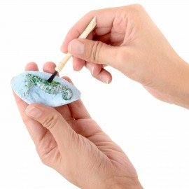 Набор для раскопок "Морские животные", 12 видов, карточки, инструменты, BRAUBERG KIDS, 665126