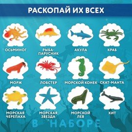 Набор для раскопок "Морские животные", 12 видов, карточки, инструменты, BRAUBERG KIDS, 665126