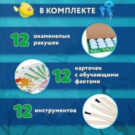 Набор для раскопок "Морские животные", 12 видов, карточки, инструменты, BRAUBERG KIDS, 665126