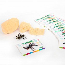 Набор для раскопок "Насекомые", 12 видов, карточки, инструменты, BRAUBERG KIDS, 665127