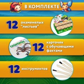 Набор для раскопок "Насекомые", 12 видов, карточки, инструменты, BRAUBERG KIDS, 665127