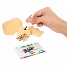 Набор для раскопок "Насекомые", 12 видов, карточки, инструменты, BRAUBERG KIDS, 665127