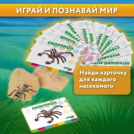 Набор для раскопок "Насекомые", 12 видов, карточки, инструменты, BRAUBERG KIDS, 665127