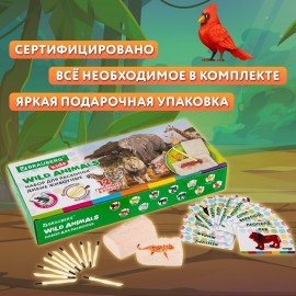 Набор для раскопок "Дикие животные", 12 видов, карточки, инструменты, BRAUBERG KIDS, 665128