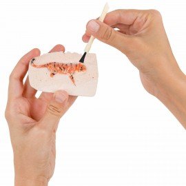 Набор для раскопок "Дикие животные", 12 видов, карточки, инструменты, BRAUBERG KIDS, 665128